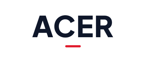 ACER MONITOR